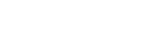 Delmic