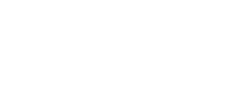 Fizyr