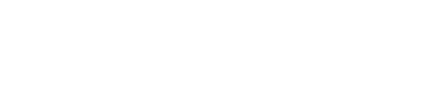 CXO Software