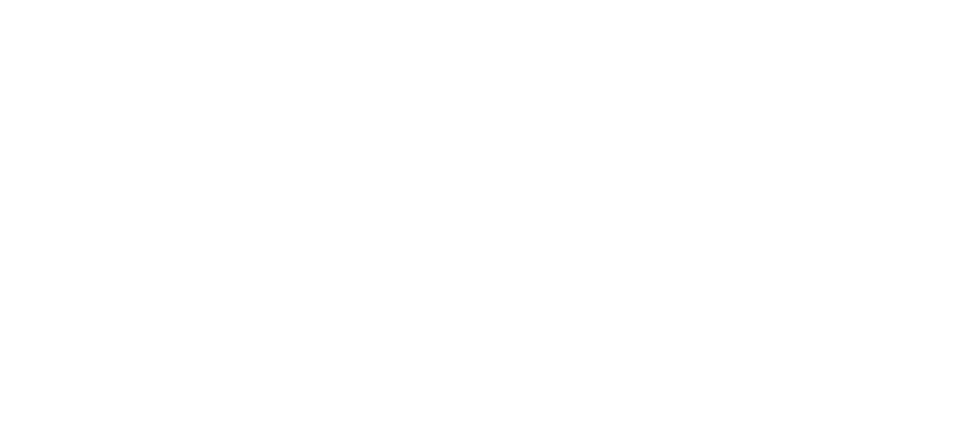 ION-IP